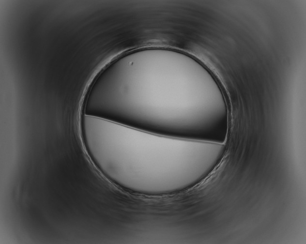 X0000097481341200802220813
