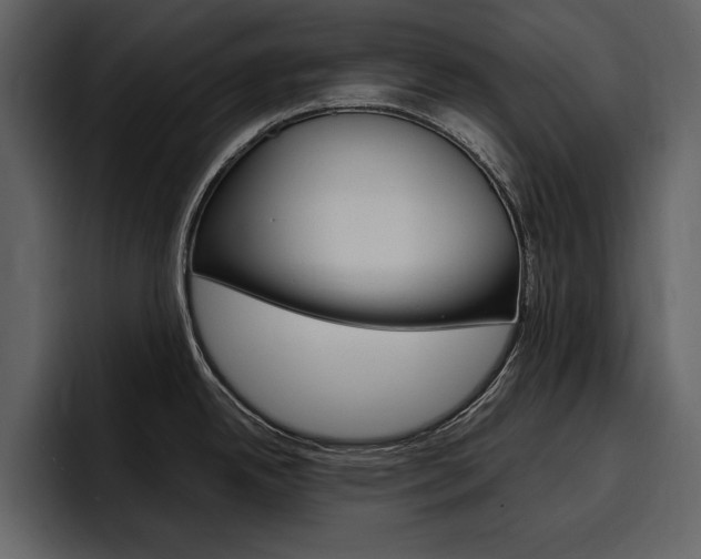 X0000097481342200802220813