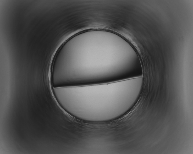 X0000097481343200802220813