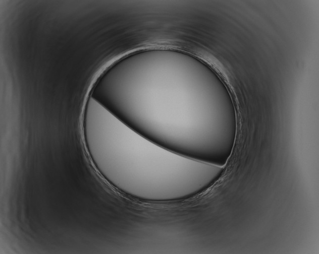 X0000097481344200802220813