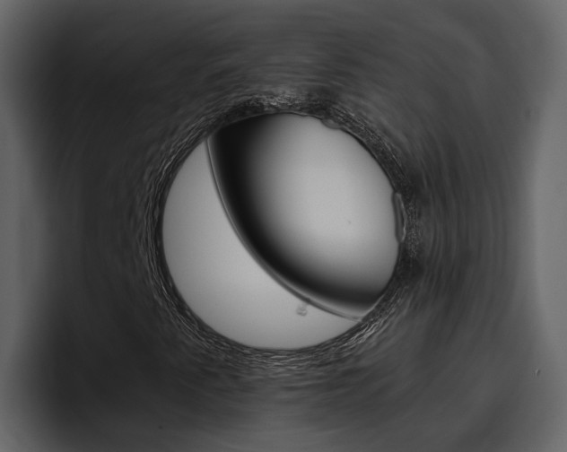 X0000097481345200802220812