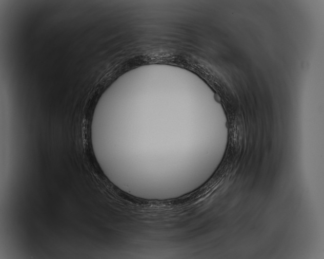 X0000097481346200802220812