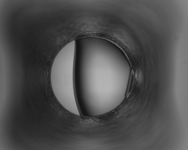 X0000097481348200802220812