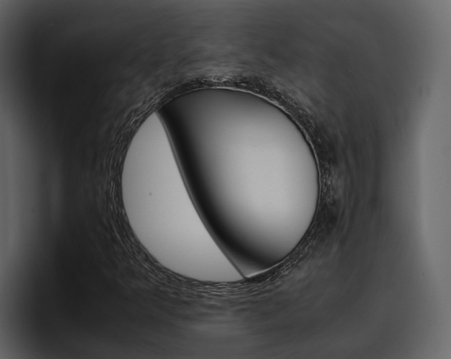 X0000097481349200802220812