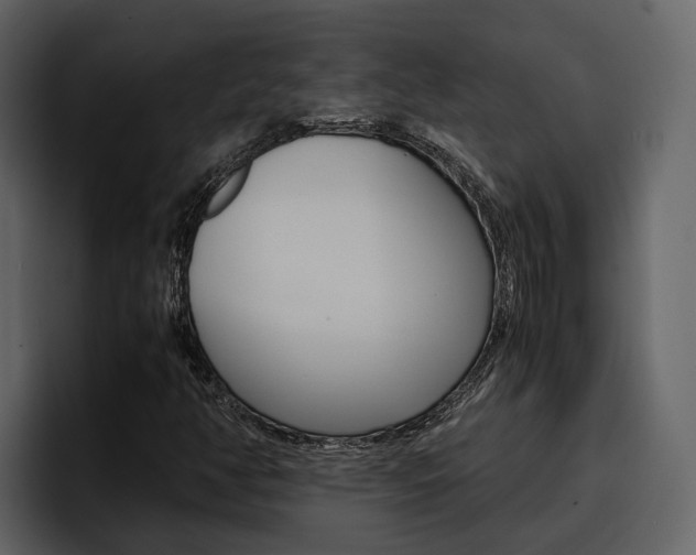 X0000097481350200802220812
