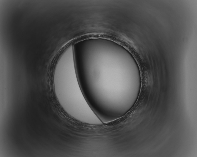 X0000097481352200802220812