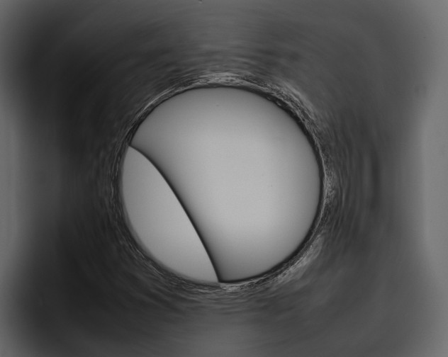 X0000097481353200802220812