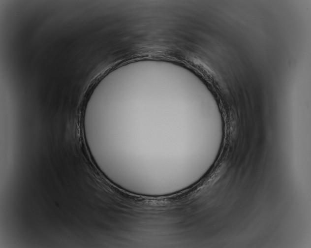 X0000097481354200802220812