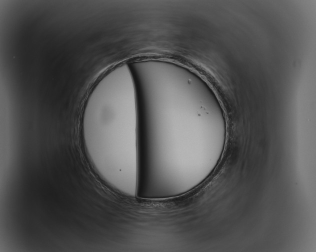 X0000097481355200802220812