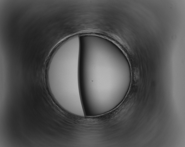 X0000097481356200802220812