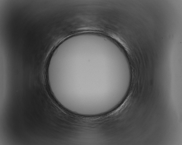 X0000097481357200802220812