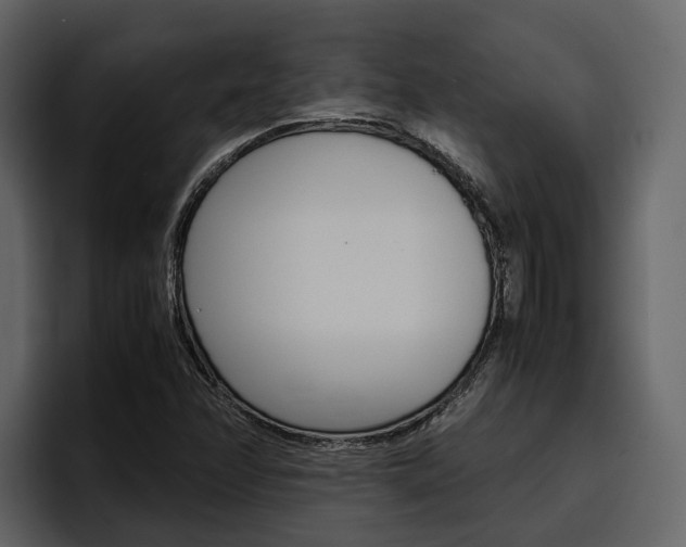 X0000097481358200802220812