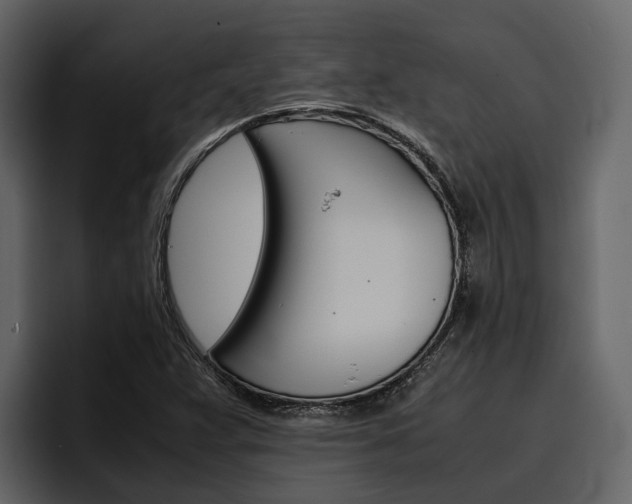 X0000097481359200802220812