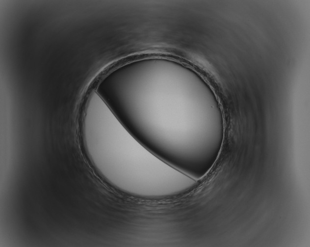 X0000097481360200802220812