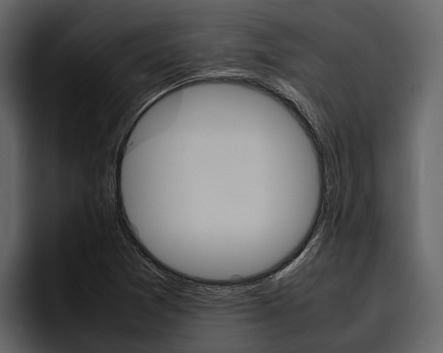 X0000097481361200802220812