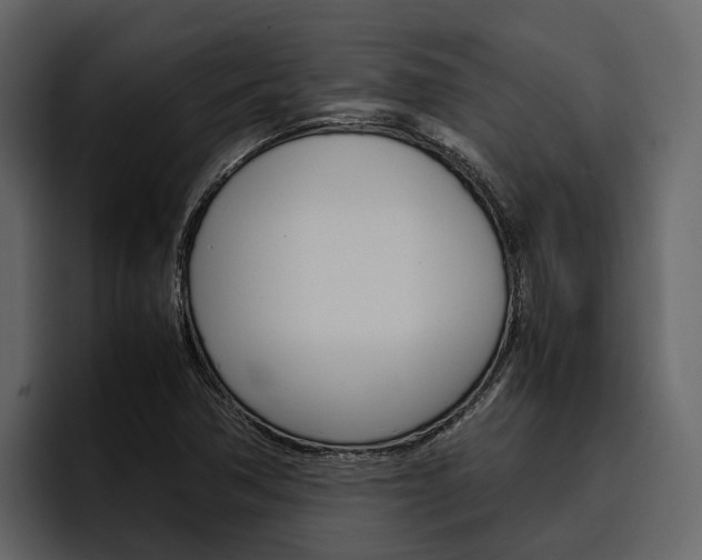 X0000097481362200802220812