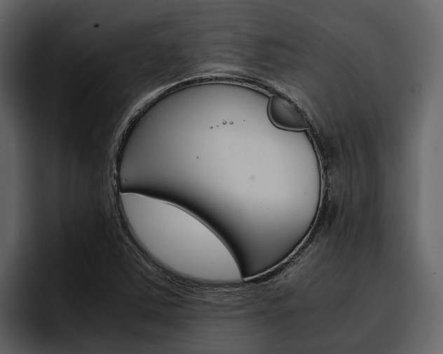 X0000097481363200802220812