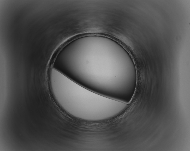X0000097481364200802220812