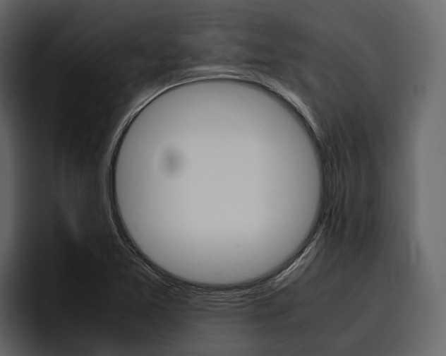 X0000097481365200802220812