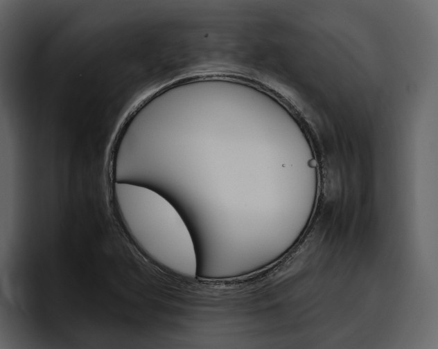 X0000097481366200802220812