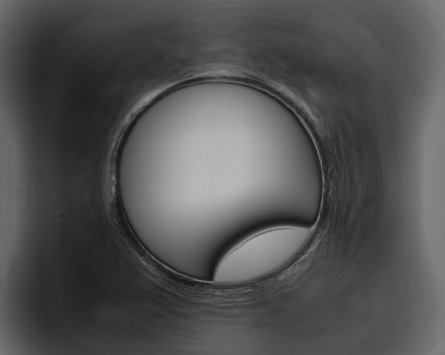 X0000097481367200802220812
