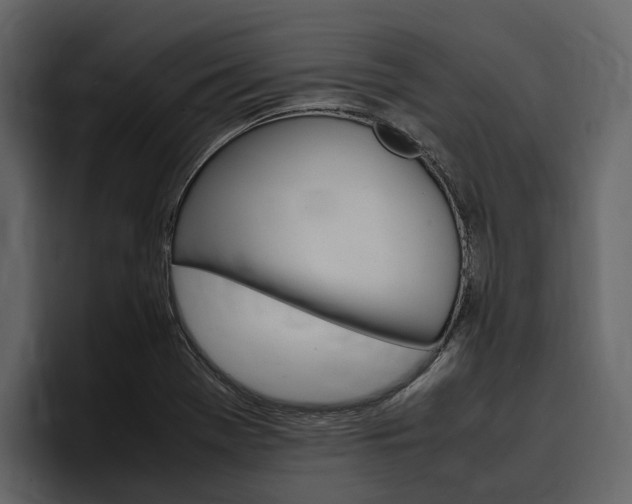 X0000097481369200802220812