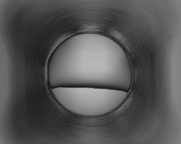 X0000097481370200802220812