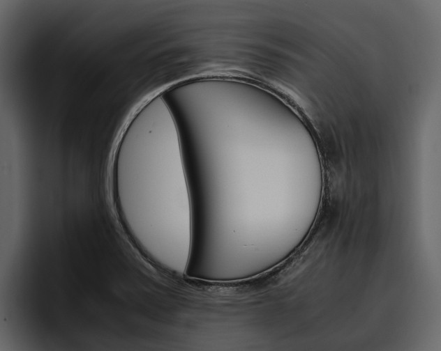 X0000097481371200802220812