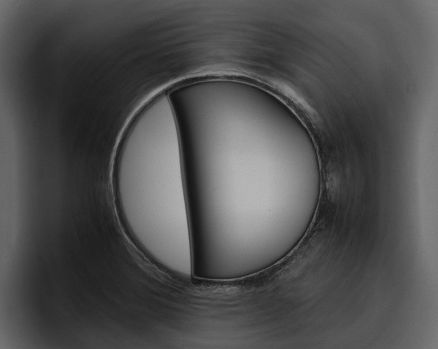 X0000097481372200802220812