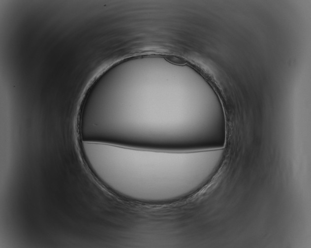 X0000097481373200802220812