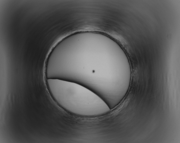 X0000097481374200802220812