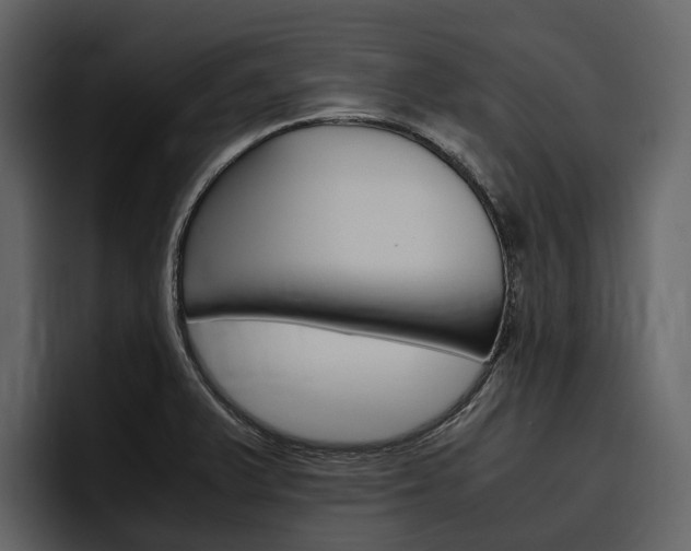 X0000097481375200802220812