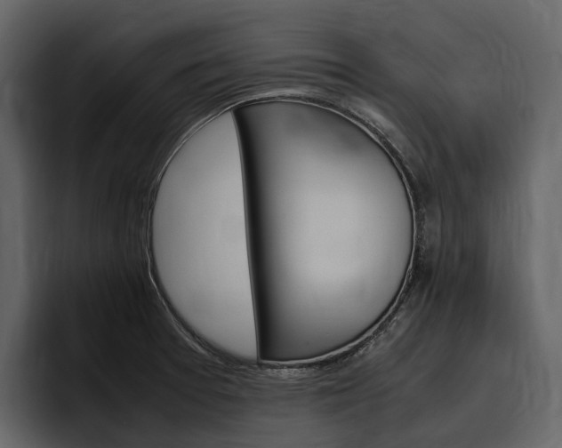 X0000097481377200802220812
