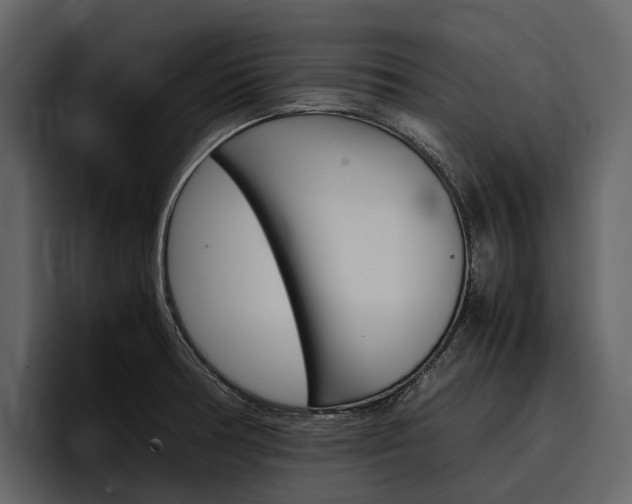 X0000097481378200802220812