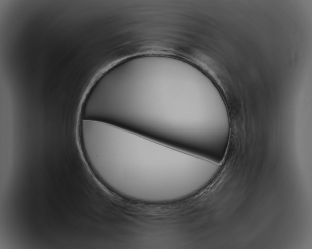 X0000097481379200802220812