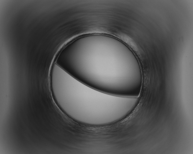 X0000097481380200802220812