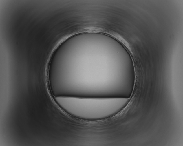 X0000097481381200802220812