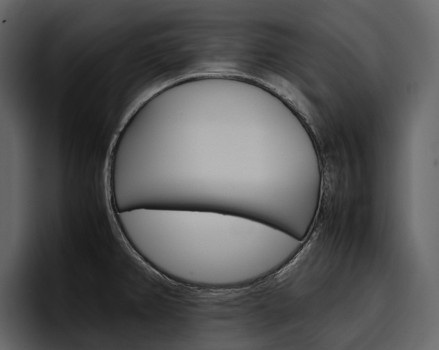 X0000097481382200802220812