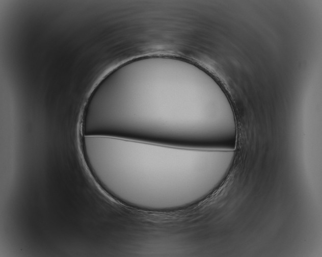 X0000097481383200802220812