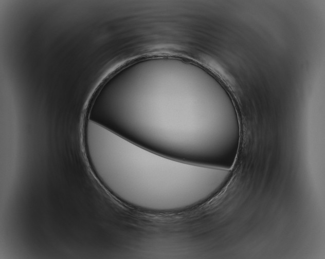 X0000097481384200802220812