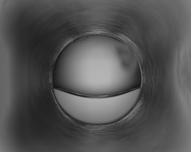 X0000097481385200802220812