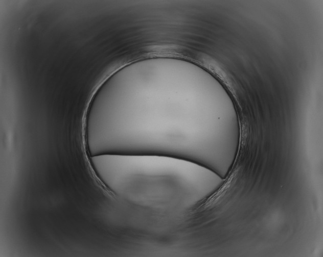 X0000097481386200802220812