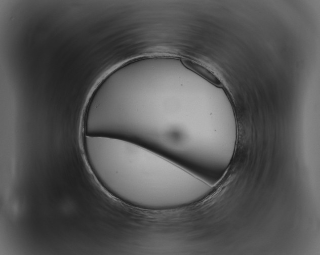 X0000097481387200802220812