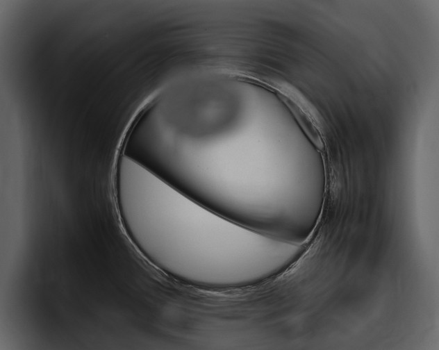 X0000097481388200802220812
