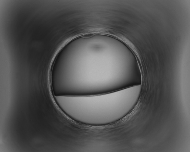 X0000097481389200802220812