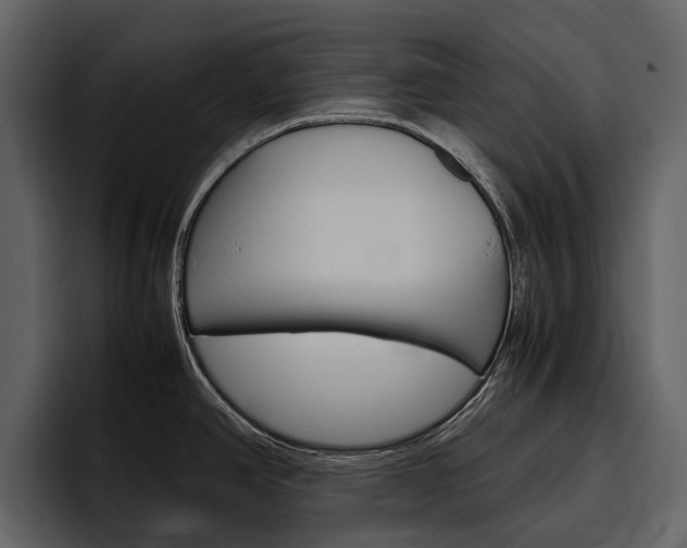 X0000097481390200802220812