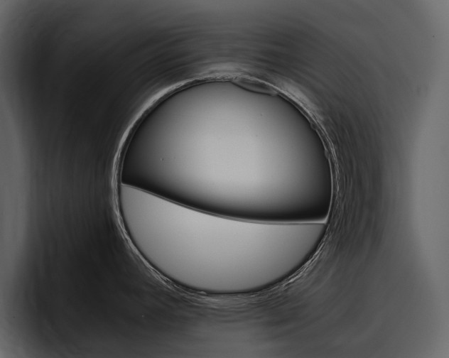 X0000097481392200802220812