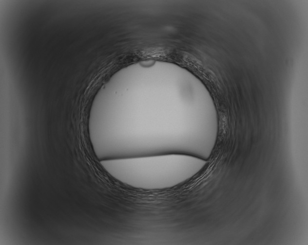 X0000097481393200802220811