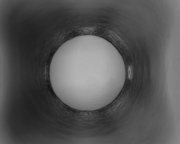 X0000097481395200802220811