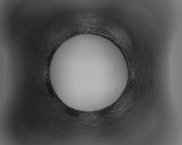 X0000097481397200802220811